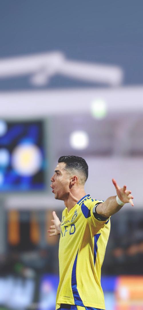 穆雷谈退役后的生活